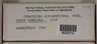 Image Associated With the Occurence